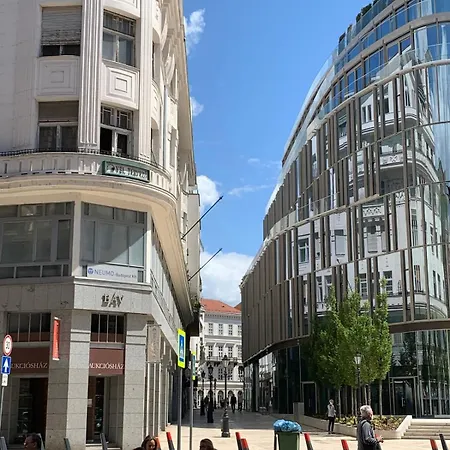 Lovely In The Heart Of Downtown *